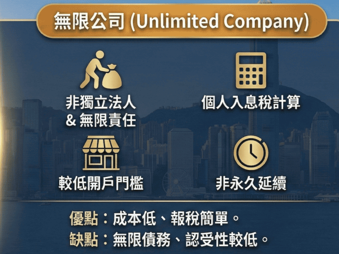 香港无限公司如何办理年审